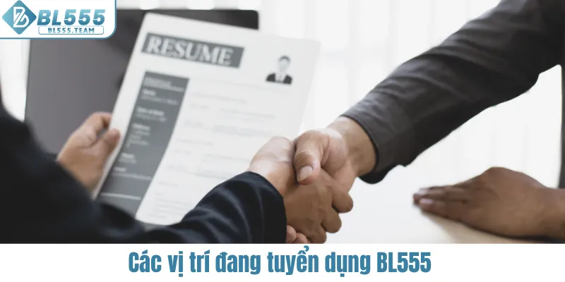 Các vị trí BL555 đang tuyển dụng